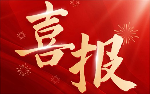 集團(tuán)榮膺2025中國(guó)民營(yíng)企業(yè)500強(qiáng)第249位，制造業(yè)民營(yíng)企業(yè)500強(qiáng)第177位，排名較去年雙雙大幅提升